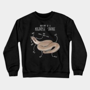 Superconda Hognose Snake Anatomy Anaconda Crewneck Sweatshirt